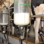 Encontro com produtores do Triângulo Mineiro vai debater o mercado do leite