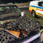 PM Rodoviária prende dupla por porte ilegal de armas e abate de animal silvestre na MGC-497