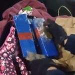 PRF apreende cerca de 2 kg de maconha na BR-365 em Uberlândia/MG