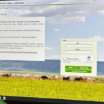Produtores rurais de Minas Gerais podem emitir documentos sanitários e acessar serviços sem sair de casa