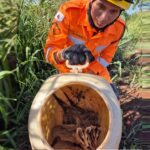 Bombeiros capturam gambás em instituição de ensino em Ituiutaba