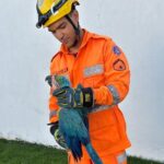 Vídeo: Bombeiros resgatam arara que ficou presa na fiação de cerca elétrica em Ituiutaba