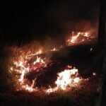 Vídeo: Brigadistas combatem incêndio em vegetação próximo à bairro em Santa Vitória