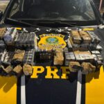 PRF apreende anabolizantes estrangeiros na BR-153 em Monte Alegre