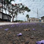 Previsão do tempo para Santa Vitória neste fim de semana