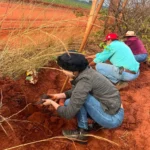 Prefeitura realiza plantio de cerca-viva no aterro sanitário para reforçar proteção ambiental