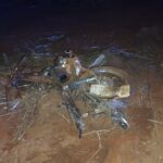Batida lateral termina com motociclista morto na MGC-497 em Prata
