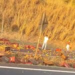 Caminhão carregado de tomates tomba e interdita BR-050 entre Araguari e Uberlândia
