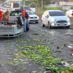 Carretinha com verduras tomba e espalha carga pela BR-050 em Uberlândia