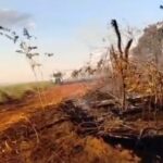 Brigadistas combatem incêndio na zona rural de Santa Vitória