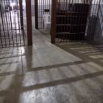 Presos tentam fugir após serrarem grades de presídio e fuga é frustrada por policiais penais