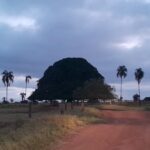 Previsão do tempo para Santa Vitória nesta segunda (7)
