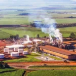 S&P reafirma rating e aponta melhora operacional da Jalles