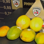 Servidor público é preso suspeito de furtar alimentos em escola municipal no Triângulo Mineiro