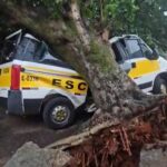 Vendaval derruba árvore sobre van escolar e atinge carro e motociclista em Uberlândia